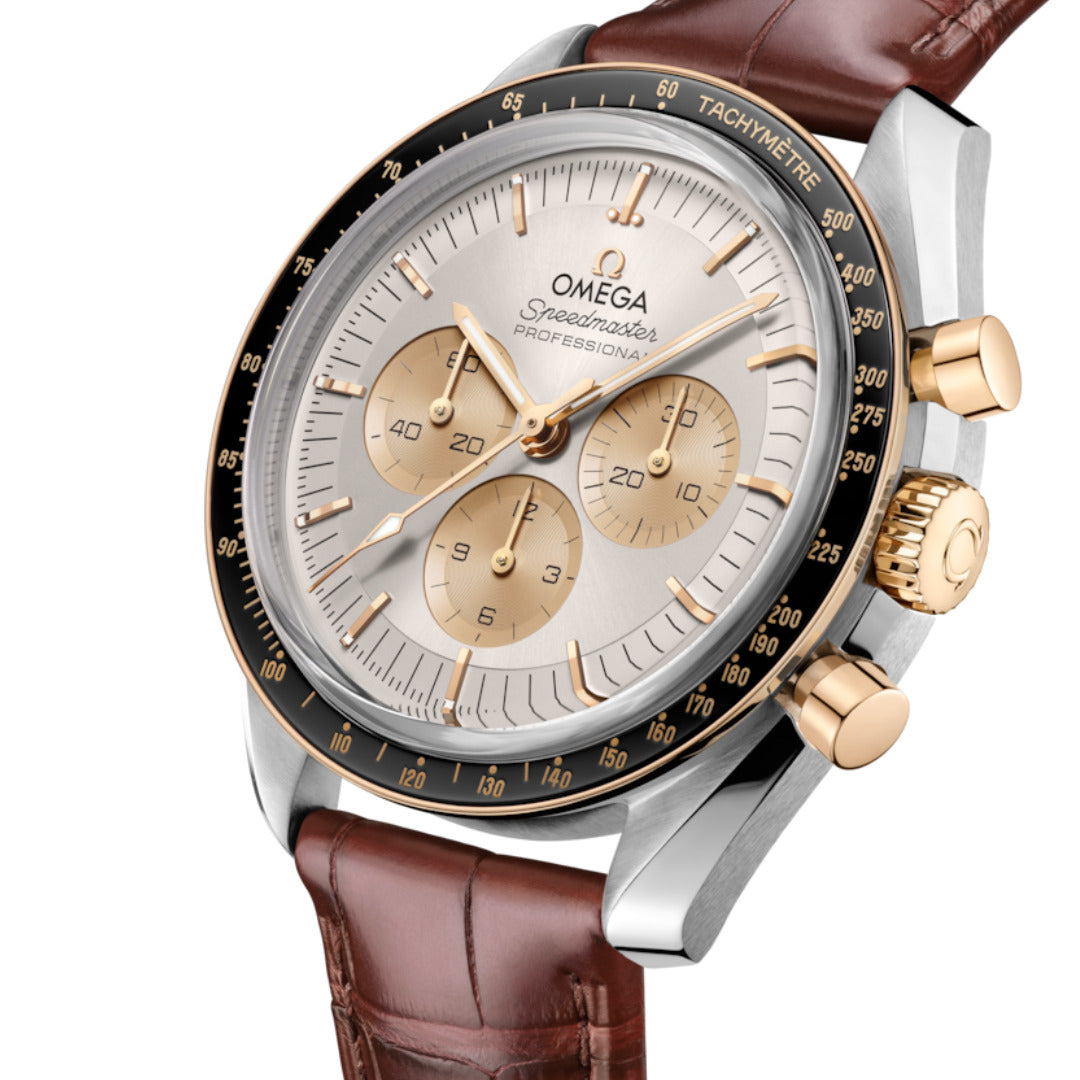 Lunar Chronograph Watch